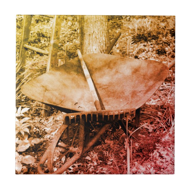 Carreau Outils De Jardin Routeux En Noir Et Blanc (Devant)