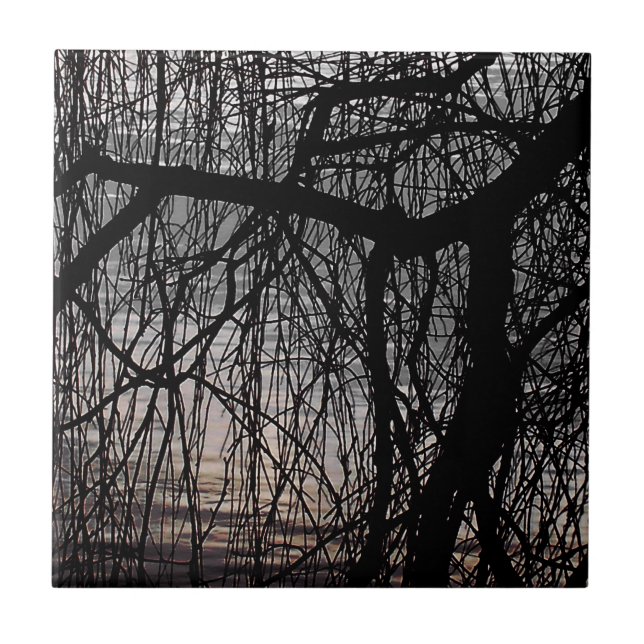 CARREAU OUVRIR DES ARBRES SAUVAGES (Devant)