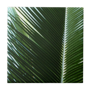 Carreau Overlapping Palm Fronds Tropical Green Abstract