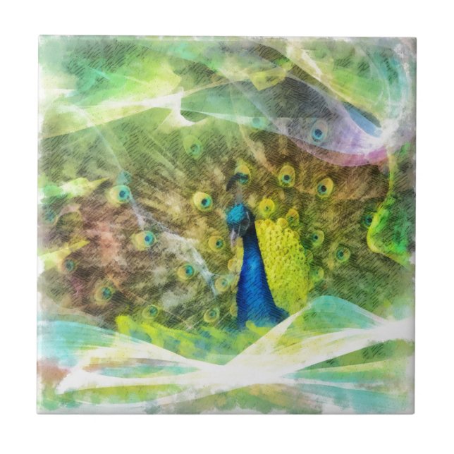 Carreau Paiement numérique de Peacock (Devant)