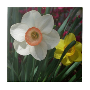 Carreau Pair of Daffodils Pink and Yellow Spring Flowers