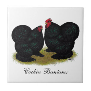 Carreau Paires petites noires de Cochins