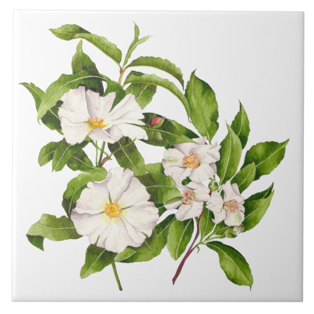 Carreau 'Paix sur Terre' sur un carrelage en céramique (Devant)