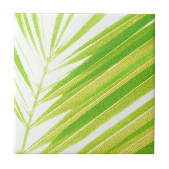 Carreau Pale Green Pastel Palm Feuilles (Devant)