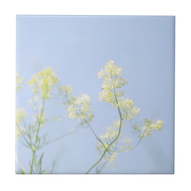 Carreau Pale Pastel Blue Sky Fleurs sauvages Pré (Devant)