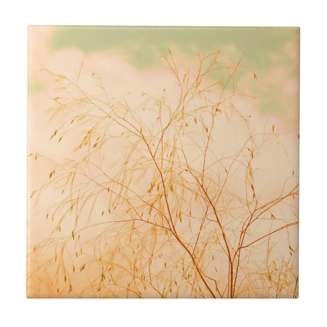 Carreau Pale Pastel Légères Tons Arbre Bruns Ciel (Devant)