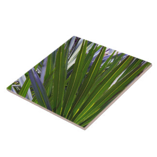 Carreau Palmetto Tropicale