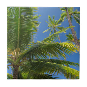 Carreau Palmier coco, Pu'uhonua o Honaunau 1
