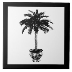 Carreau Palmier pointu - noir et blanc
