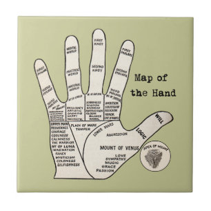 Carreau Palmier vintage lecture fortune misère