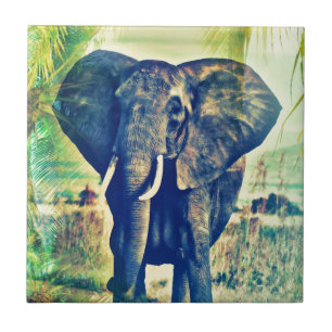 Carreau Palmiers éléphant