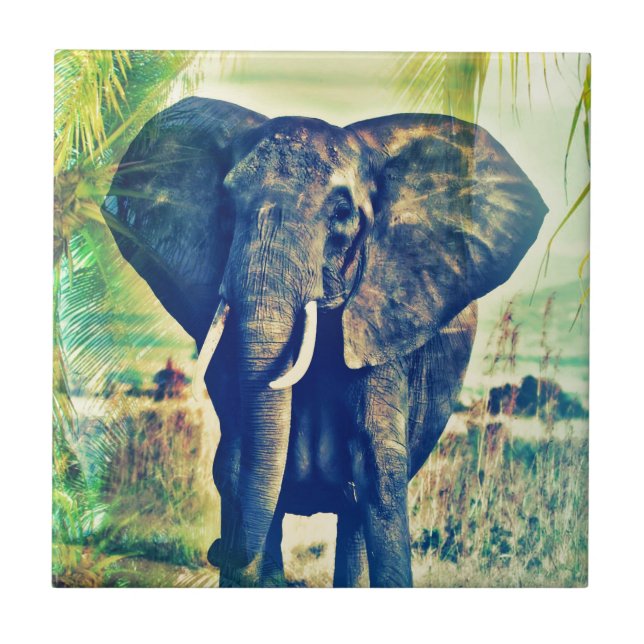 Carreau Palmiers éléphant (Devant)