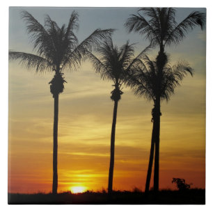 Carreau Palmiers et coucher de soleil, Mindil Beach