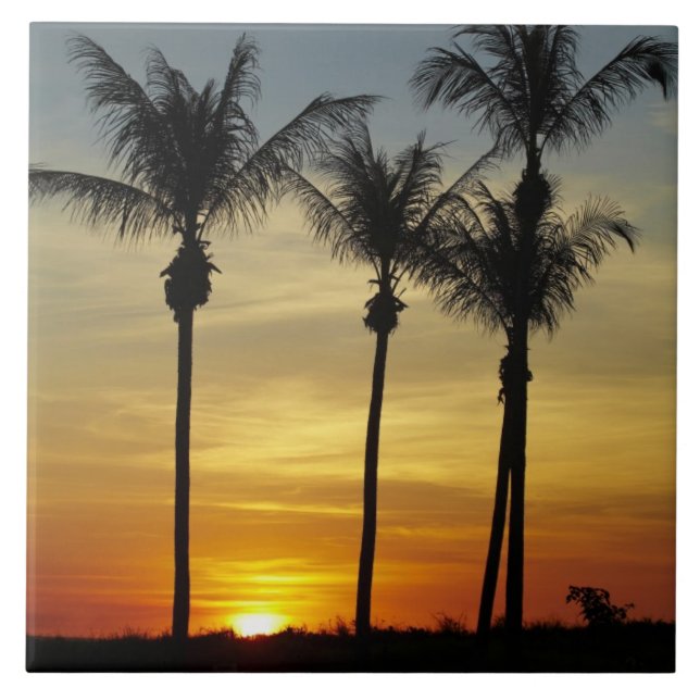 Carreau Palmiers et coucher de soleil, Mindil Beach (Devant)