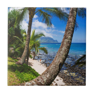 Carreau Palmiers Le Long De La Plage D'Hideaways