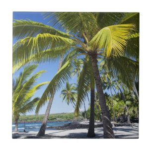 Carreau Palmiers, Parc Historique National Pu'uhonua