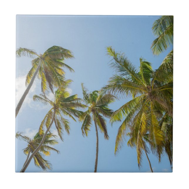 Carreau Palmiers Tropicaux, Plage et Style de vacances (Devant)