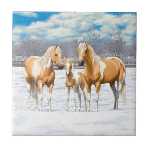 Carreau Palomino Pinto Peinture Quarter Chevaux En Neige