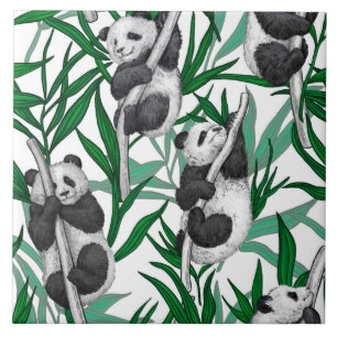 Carreau Panda cubs on