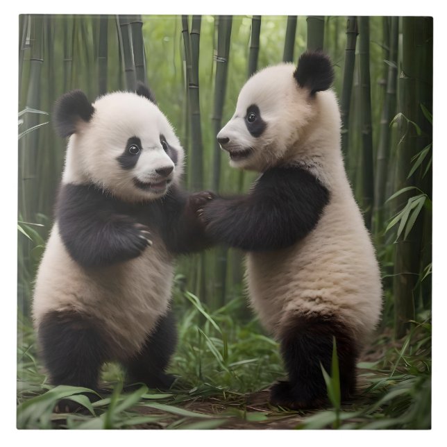 Carreau Pandas Bébés En Jeu Dans Une Forêt De Bambou, (Devant)