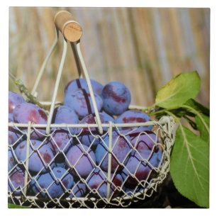 Carreau Panier de prunes pourpres