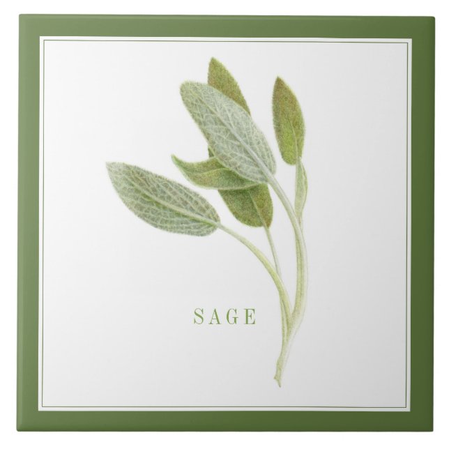 Carreau PANNEAU DE Céramique FRAIS 6"x6" (+texte) Vert (Devant)