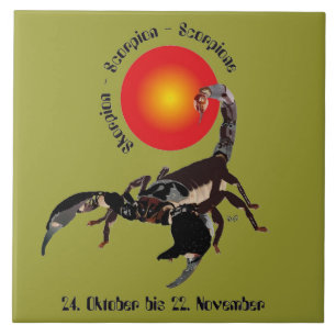 Carreau Panneau de photographie en céramique scorpion