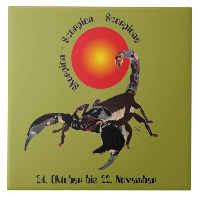 Carreau Panneau de photographie en céramique scorpion (Devant)