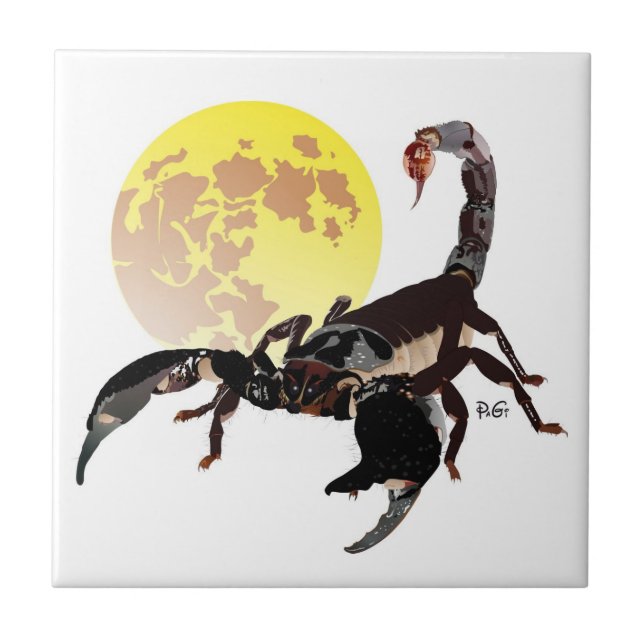 Carreau Panneau de photographie en céramique scorpion (Devant)