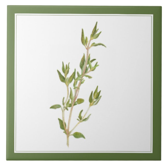 Carreau PANNEAU EN Céramique FRAIS THYME 6x6 (-texte) Vert (Devant)