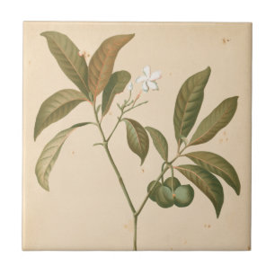 Carreau Panneau I de Deco de cobalt