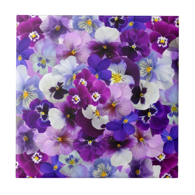 Carreau Pansies Colorées, Jolies Fleurs, (Devant)