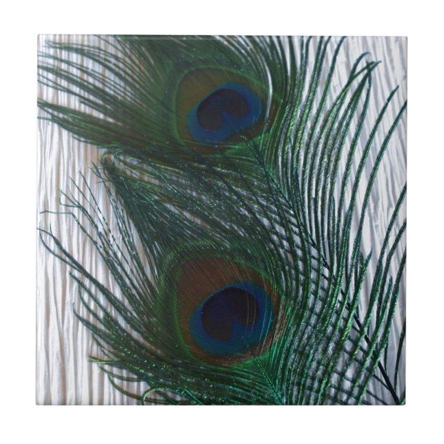 Carreau Paon avec le blanc (Devant)