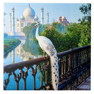 Carreau Paon blanc surplombant le Taj Mahal