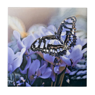 Carreau Papillon bleu