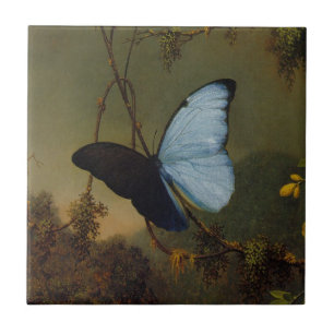 Carreau Papillon bleu de Morpho par Martin Johnson Heade