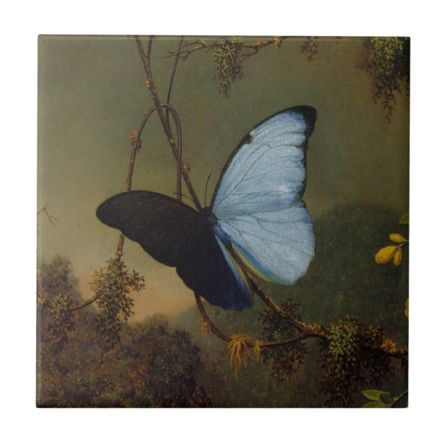 Carreau Papillon bleu de Morpho par Martin Johnson Heade (Devant)