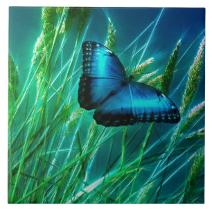 Carreau Papillon bleu Morpho sur herbe verte