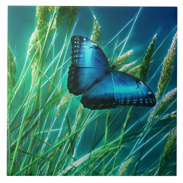 Carreau Papillon bleu Morpho sur herbe verte (Devant)