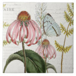 Carreau Papillon botanique Fleur sauvage rose Fern Vintage<br><div class="desc">N° 3 sur 5 options de coordination des tuiles. Le papillon bleu pâle de petites montagnes et un fleur sauvage Echinacea rose sont au centre de ce collage avec écriture manuscrite éphémère et images de publicité antique sur une crème douce, arrière - plan texturé en ivoire. Collage créé et conçu...</div>
