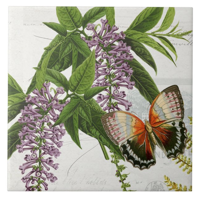 Carreau Papillon botanique Purple Wisteria Vintage 1 (Devant)