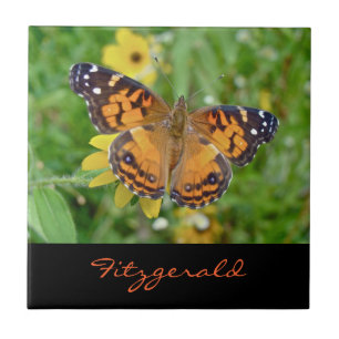Carreau Papillon-dame américain - Vanessa virginiensis