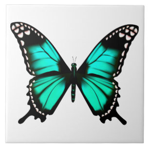 Carreau papillon de couleur vibrante