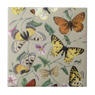 Carreau Papillon de nuit vintage 1842 Art botanique floral
