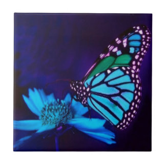 Carreau Papillon en lumière bleue