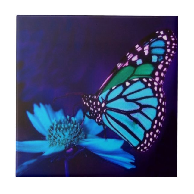 Carreau Papillon en lumière bleue (Devant)