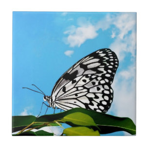 Carreau Papillon et ciel