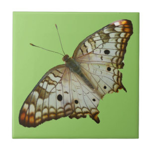Carreau Papillon exotique de Sainte-Lucie