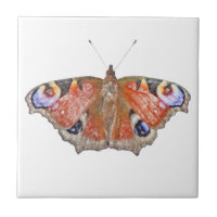 papillon fané