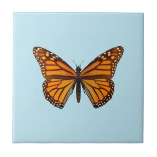Carreau Papillon Monarque